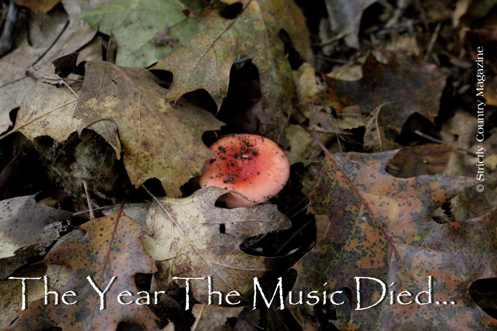 Strictly Country Magazine - The Year The Music Died title